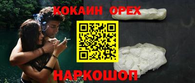 спиды Кингисепп