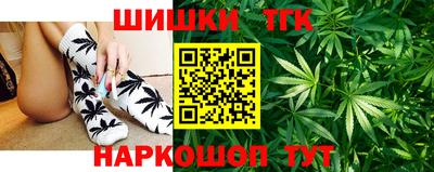 спиды Кингисепп