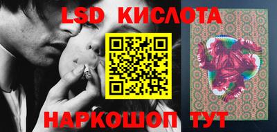 спиды Кингисепп
