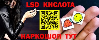 спиды Кингисепп
