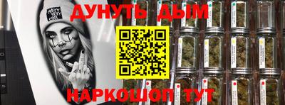 спиды Кингисепп