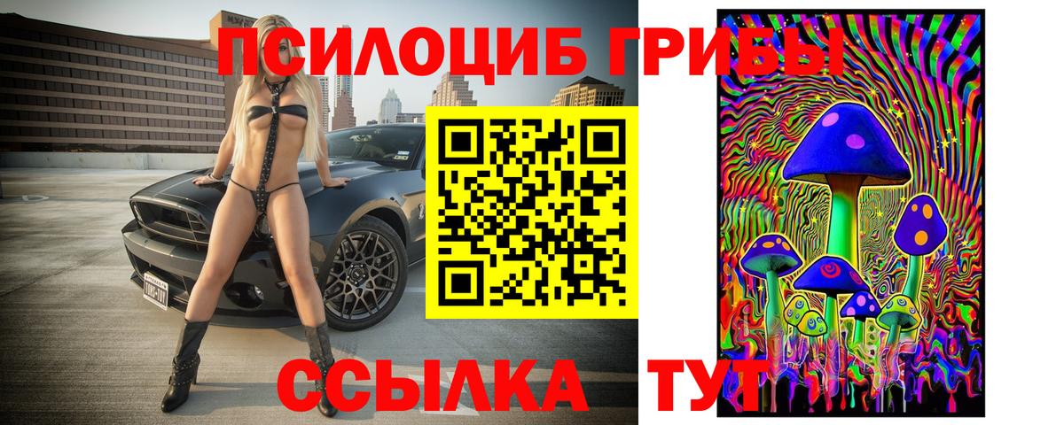Псилоцибиновые грибы GOLDEN TEACHER  Вход с VPN  Черногорск  Псилоцибиновые грибы GOLDEN TEACHER 