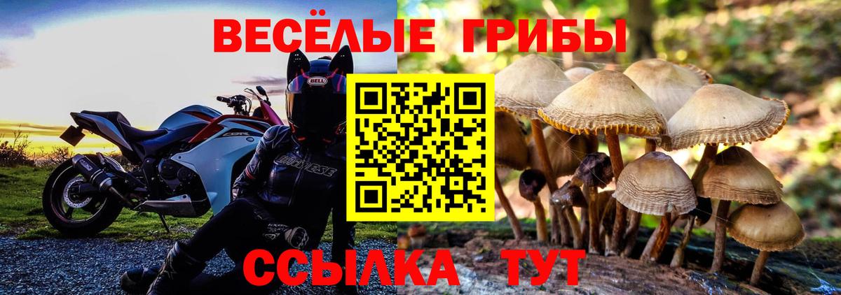 Галлюциногенные грибы Cubensis Черногорск